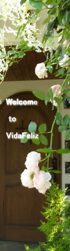 VidaFelizへようこそ!