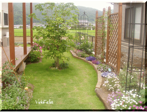 vidafeliz庭・設計施工例